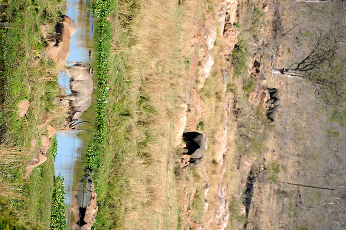 Re: Au paradis ! Compte rendu d'un voyage de 2 petites semaines en Afrique du Sud - L-argonnais Re: Au paradis ! Compte rendu d'un voyage de 2 petites semaines en Afrique du Sud - L-argonnais