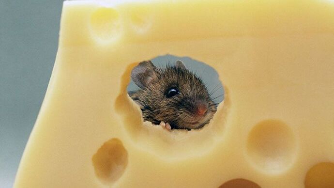 Re: trous dans le fromage - sourisgrise Re: trous dans le fromage - sourisgrise