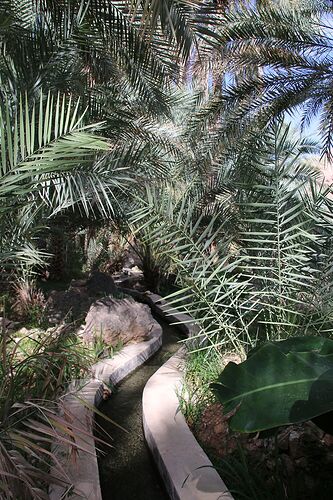 2 semaines de camping à Oman : des treks, des dunes et des wadis : Suite - Carines26