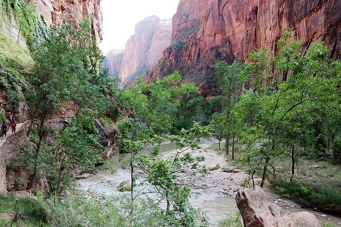 Zion National Park  - Hiacinthe