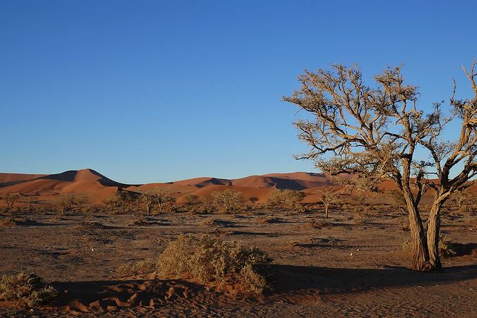 Re: Namibie : LE voyage !  - Sarcolas