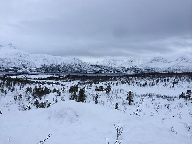 Retour sur une semaine passée au nord de la Norvège en février - Pimprennelle33 Retour sur une semaine passée au nord de la Norvège en février - Pimprennelle33