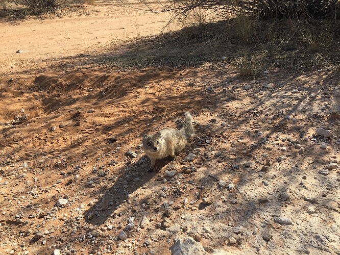 Voyage Namibie et Botswana 4 semaines sans réservations - Morchella