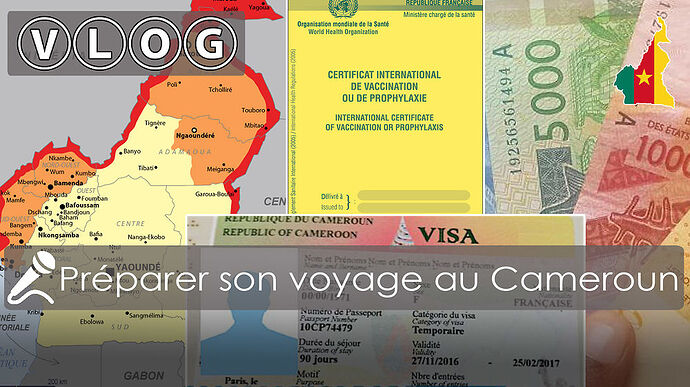 Comment préparer au mieux son voyage au Cameroun ? - jiel007
