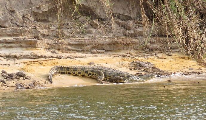 Re: NAMBOTSVIC Namibie- Botswana- Victoria Falls, 3 semaines magiques - PATOUTAILLE