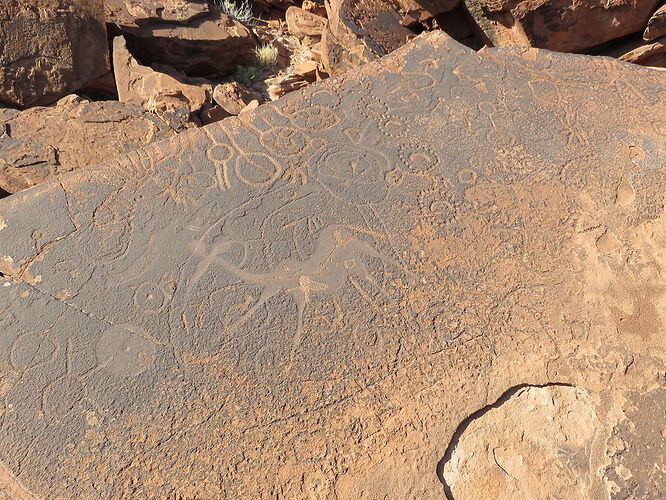 Activités en Namibie - Fra67