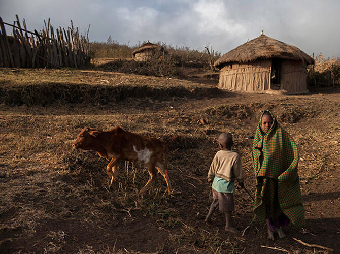 Guide Maasai et Parcs de Tanzanie - GingKoBiloba