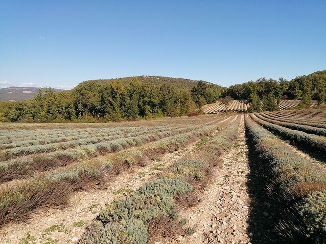 Re: Trois semaines dans le Var... - trostang