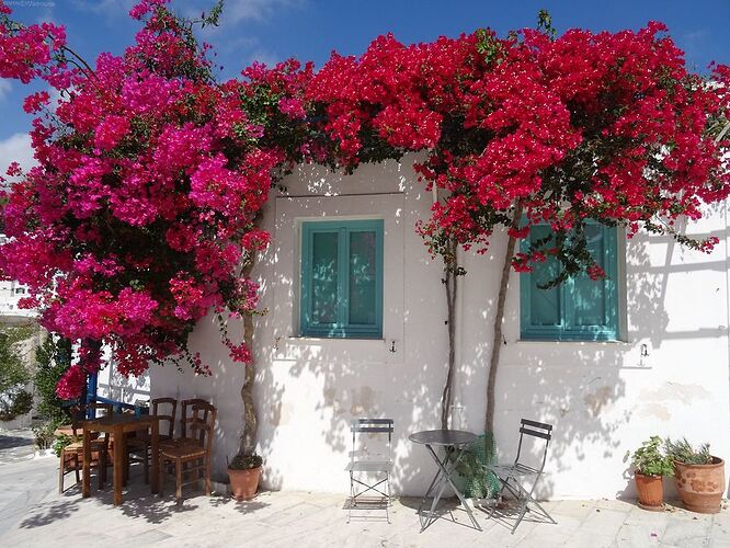 Une semaine à Paros - PepetteEnVadrouille