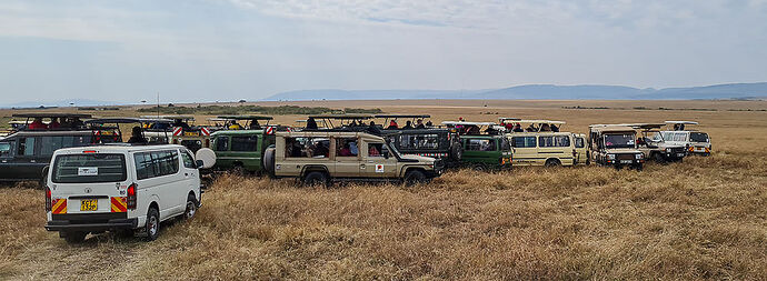 Re: Kenya juillet 2021 un nouveau safari de Samburu au Massai Mara en passant par Meru et Aberdare NP - Karen56