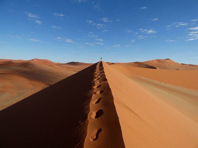 Retour de 24 jours en Namibie - mai 2017 - Snoopy05