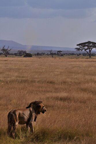 Notre voyage au Kenya - Elodie-Cerise