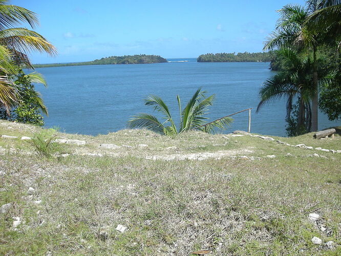 Re: visite du parc Alejandro Humboldt - JIMINII