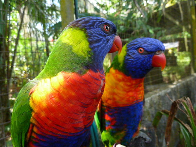 GUYANE SURPRNANTE - lucskywalker GUYANE SURPRNANTE - lucskywalker