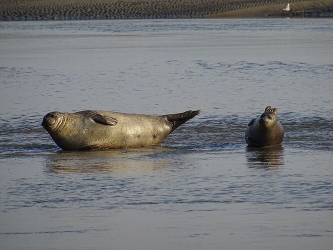 Séjour découverte fabuleux dans le Nord Pas de Calais - castoretpollux