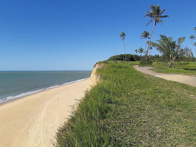 Quelle agence pour des excursions locales près de Salvador de Bahia - France-Rio