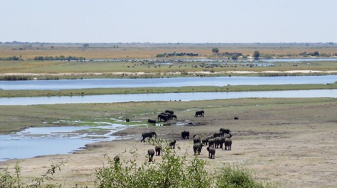 Re: NAMBOTSVIC Namibie- Botswana- Victoria Falls, 3 semaines magiques - PATOUTAILLE