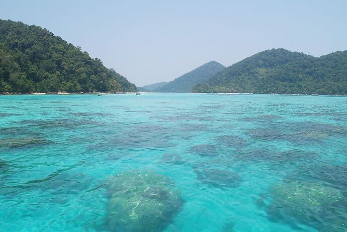 Re: Iles Surin ou Similan - almape Re: Iles Surin ou Similan - almape