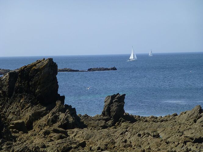 Re: Carnet de voyage, une semaine sous le soleil de Bretagne - Fecampois