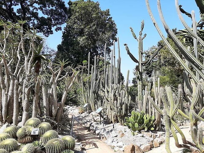 Parque Lage + Jardin Botanique Rio - France-Rio