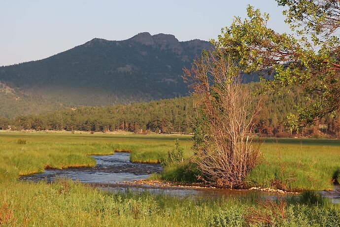 nuit à Estes Park  - Hiacinthe