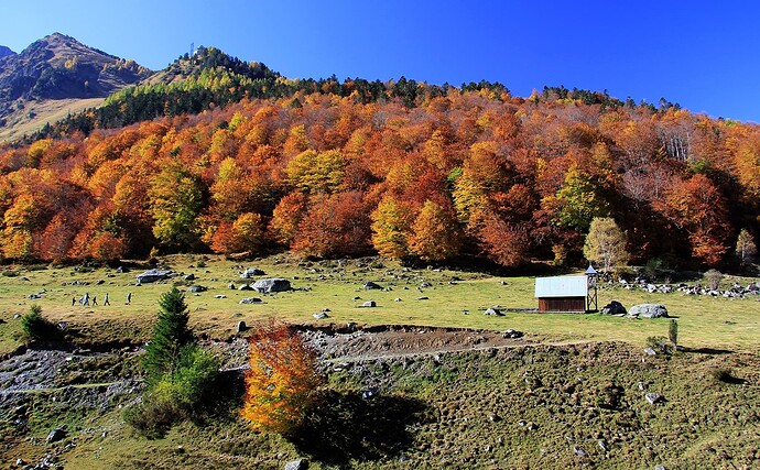 Barèges : Plateau du Lienz en automne