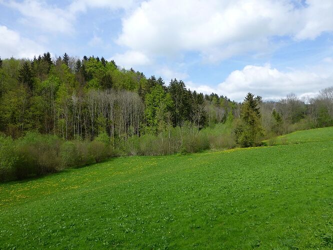 Re: Carnet de voyage, une semaine dans les Alpes au printemps  - Fecampois