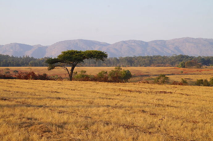 retour voyage Afrique du sud / Swaziland - jolis circuits