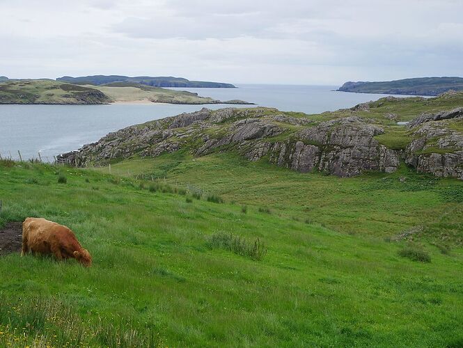 Re: 24 jours en Ecosse jusqu'aux îles Shetlands avec 2 chiens - Zoune