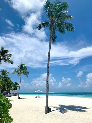 Météo du 24 Janvier 2021 - Philomaldives Ex guide Safaris