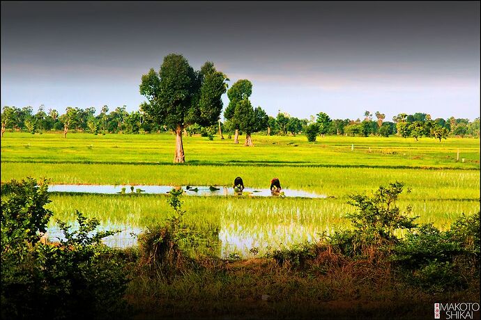 Re: Tour à Siem Reap autre que les temples  - IzA-Cambodia