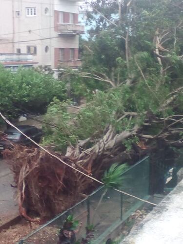 Re: Ouragan IRMA à surveiller - Revenant
