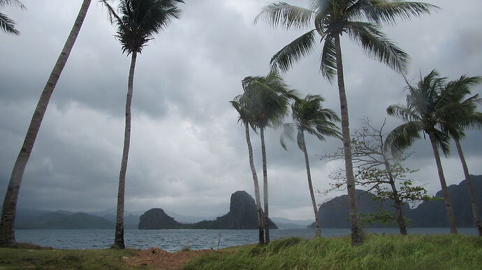 Re: Des Visayas à Palawan, retour de 3 semaines magnifiques! - PATOUTAILLE