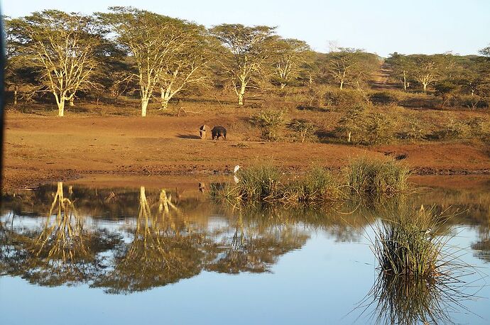 retour voyage Afrique du sud / Swaziland - jolis circuits