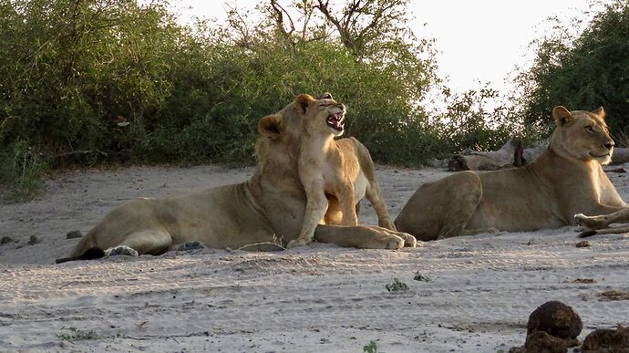 Re: NAMBOTSVIC Namibie- Botswana- Victoria Falls, 3 semaines magiques - PATOUTAILLE