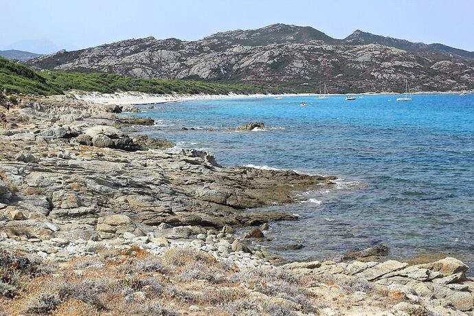 Re: Infos pour séjour en Corse avec un petit budget, fin août, début septembre - puma