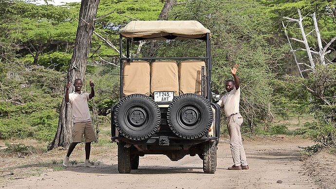 Re: A Sélous & Ruaha, pour le plaisir . - puma