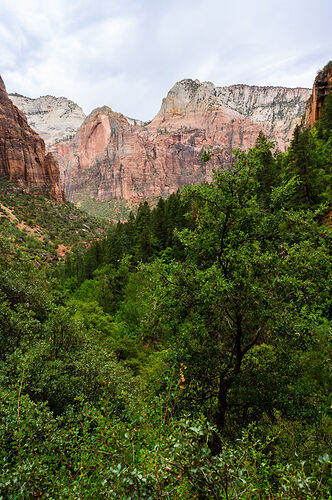 Vendredi 12 août: Grand Canyon North Rim – Zion - darth