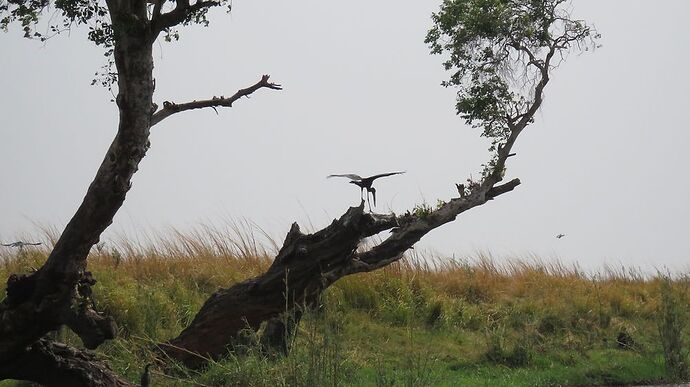 Re: NAMBOTSVIC Namibie- Botswana- Victoria Falls, 3 semaines magiques - PATOUTAILLE