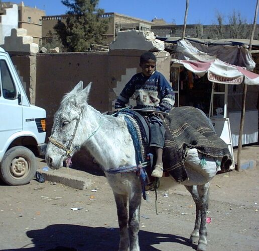 Re: Retour circuit Sud Maroc 10 jours en mars : Marrakech - Ouarzazate - Skoura - Merzouga - Taroudant - Essaouira - trostang Re: Retour circuit Sud Maroc 10 jours en mars : Marrakech - Ouarzazate - Skoura - Merzouga - Taroudant - Essaouira - trostang