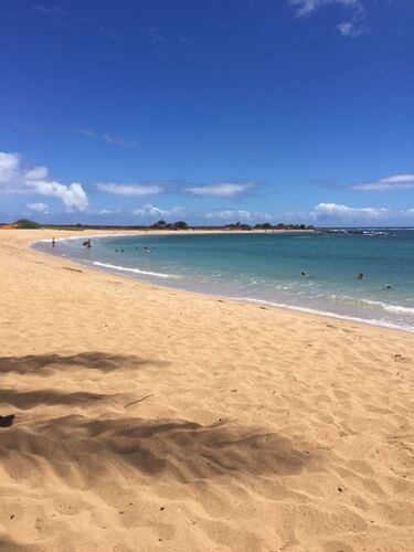 Retour de 15 jours à Hawaii - AmandeBJ