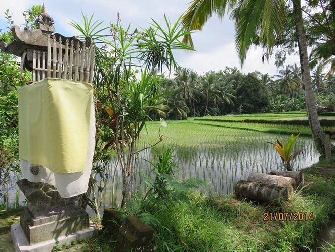 Re: Itinéraires et combinés d'hôtels pour visiter Bali - quinqua voyageuse