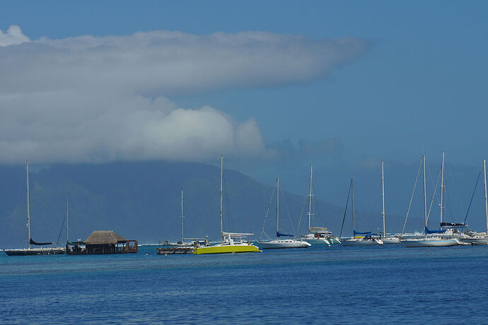 Découverte de la cote Ouest de Tahiti - cartesien