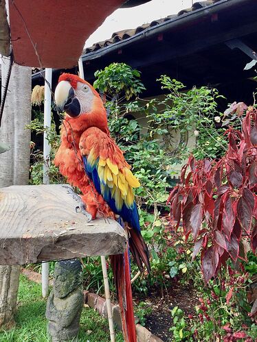 Re: Retour d'une jolie boucle Guatemala-Belize  - PATOUTAILLE