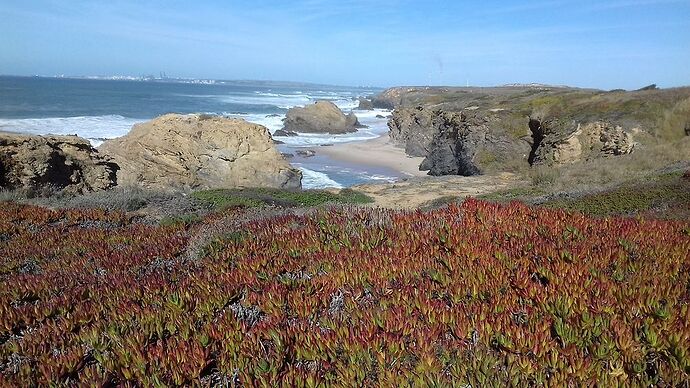 Rota vicentina... Nous voilà! - doumenancy