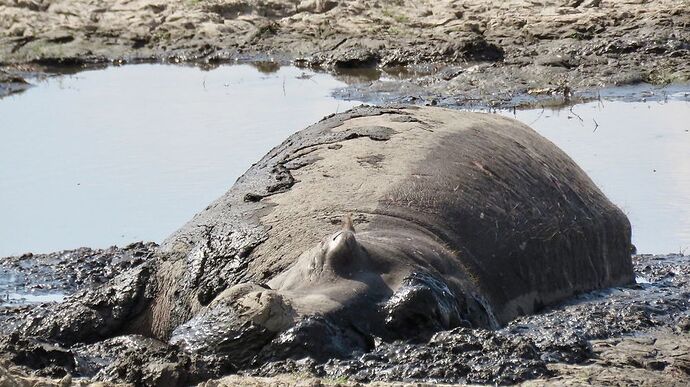 Re: NAMBOTSVIC Namibie- Botswana- Victoria Falls, 3 semaines magiques - PATOUTAILLE