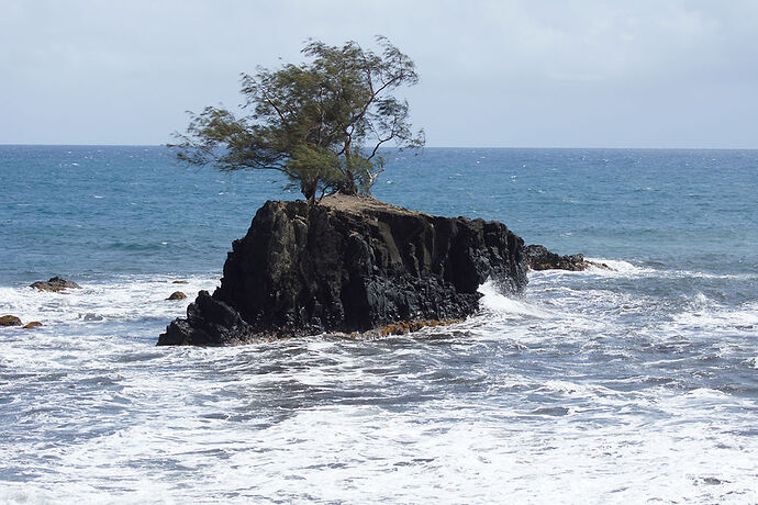 Découverte de la cote Est de Tahiti - cartesien