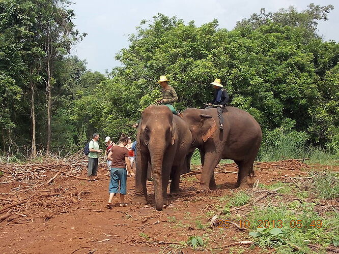 Re: Que voir à Bangkok et environs - terima khasi Re: Que voir à Bangkok et environs - terima khasi