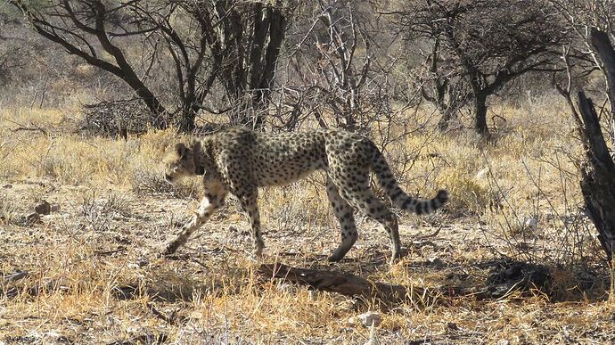 Re: Distance Otjiwarongo windhoek - PATOUTAILLE