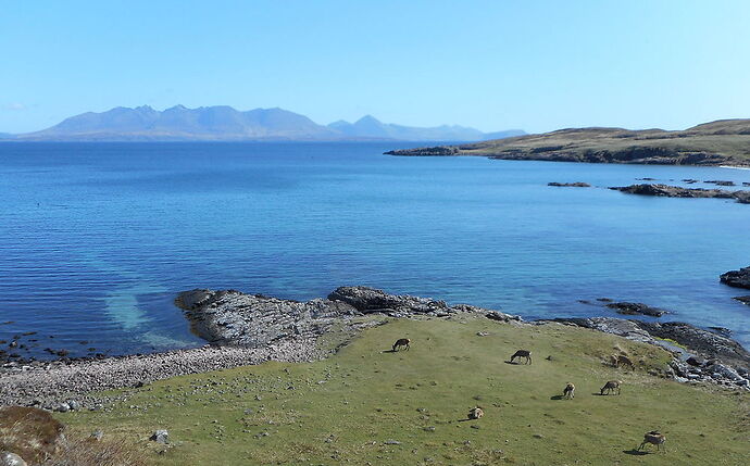 Kilmory  Bay et les Black Cuillins de Skye - calamity jane
